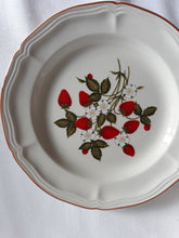 Load image into Gallery viewer, Vintage Strawberry Pattern Plates (HW 301)
